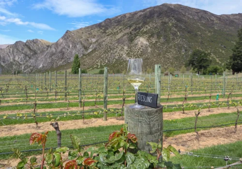 Queenstown-Wine-Tour-