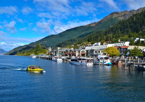 Queenstown maxi taxi van for group travel